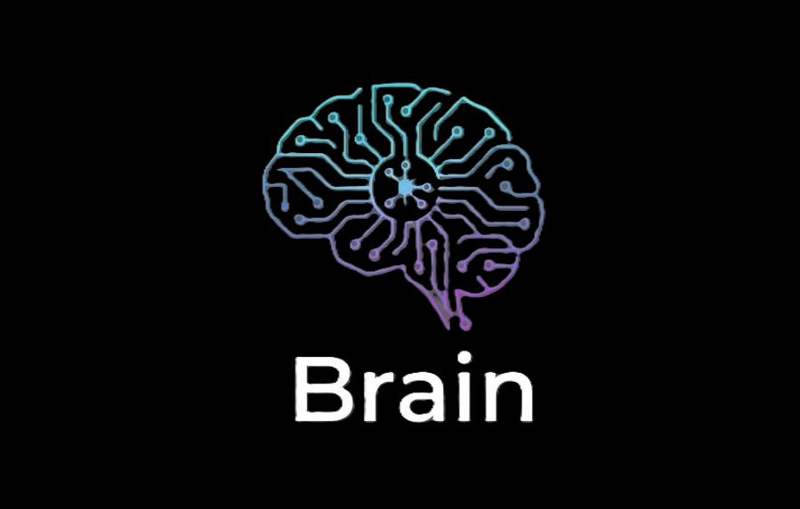 Brain - Segundo Cérebro